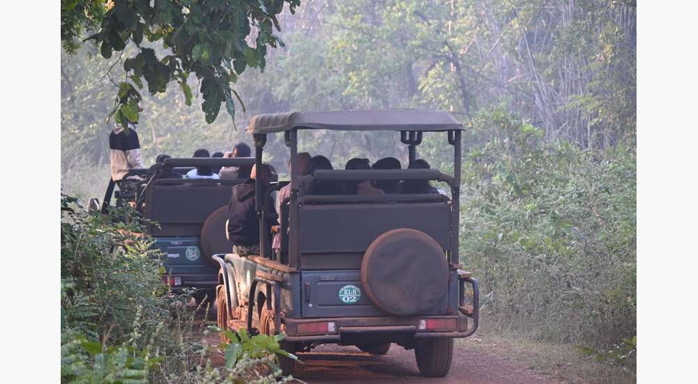 Into the Wild: A Learning Journey at Tadoba-Andhari Tiger Reserve!