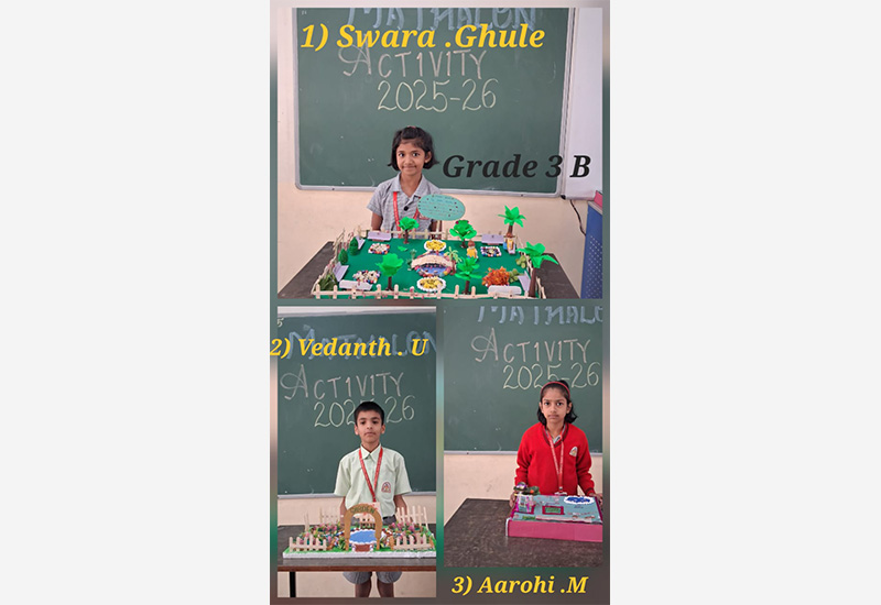 Class 3: Designing a rectangular garden featuring circular