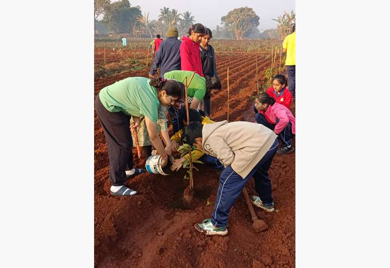 Green Commitment in Action!