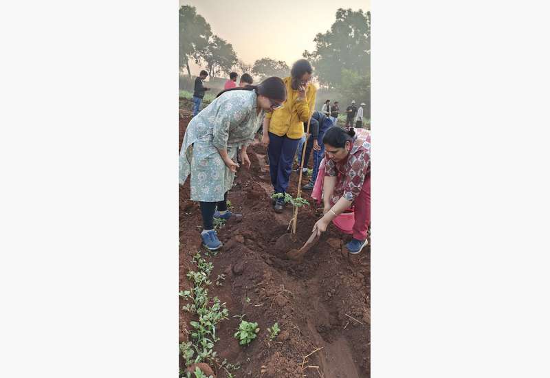 Green Commitment in Action!