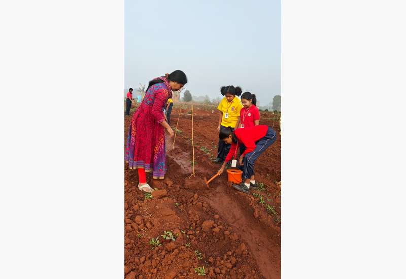 Green Commitment in Action!