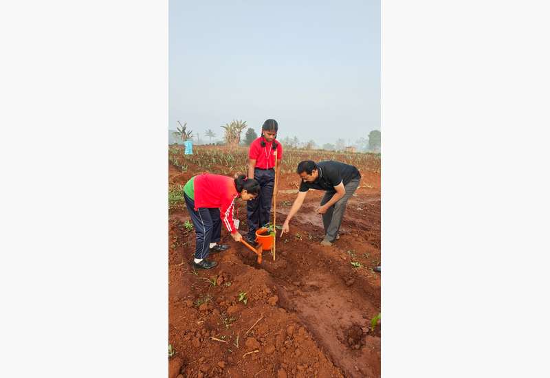 Green Commitment in Action!