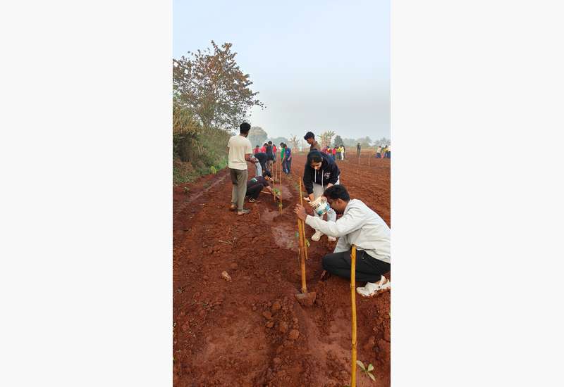 Green Commitment in Action!