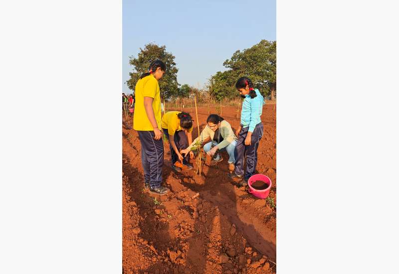 Green Commitment in Action!