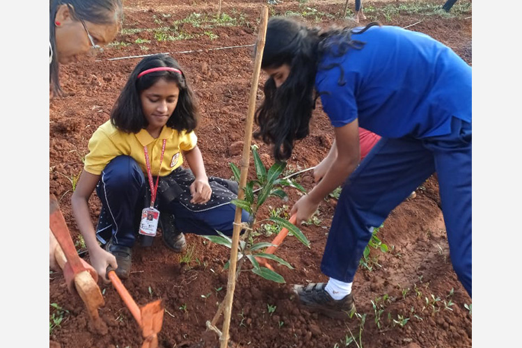 Green Commitment in Action!