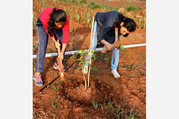 Green Commitment in Action!