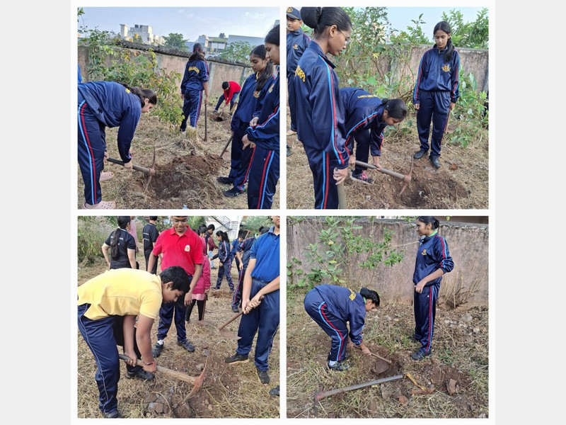 Tree Plantation Drive At Vidyagiri